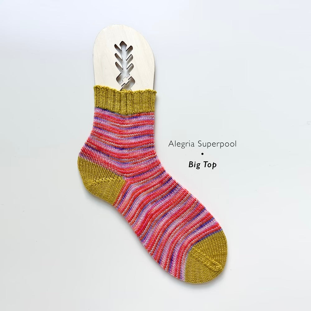 Alegria Superpool Sock Kit
