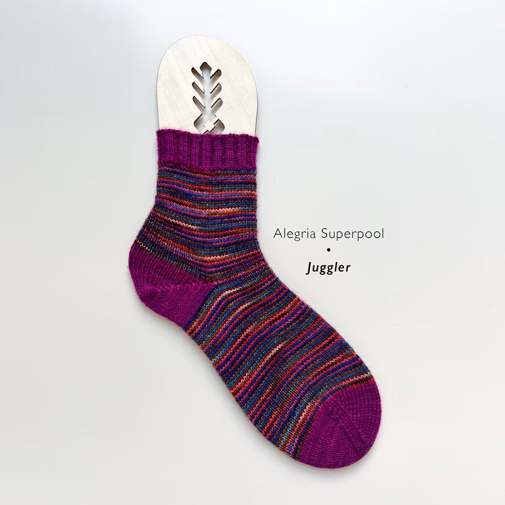 Alegria Superpool Sock Kit