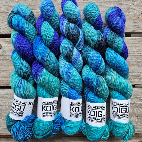 KOIGU Painters Palette Premium Merino (KPPPM) - One of a Kind