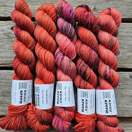 KOIGU Painters Palette Premium Merino (KPPPM) - One of a Kind